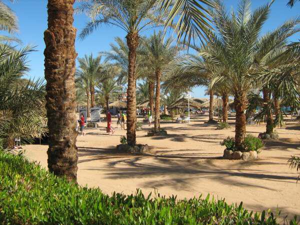 all about hurghada 2 - All about Hurghada